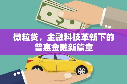 禄丰微粒贷，金融科技革新下的普惠金融新篇章