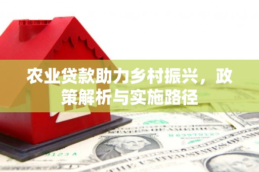 禄丰农业贷款助力乡村振兴，政策解析与实施路径