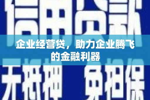 禄丰企业经营贷，助力企业腾飞的金融利器
