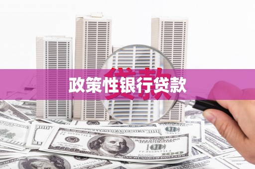禄丰政策性银行贷款