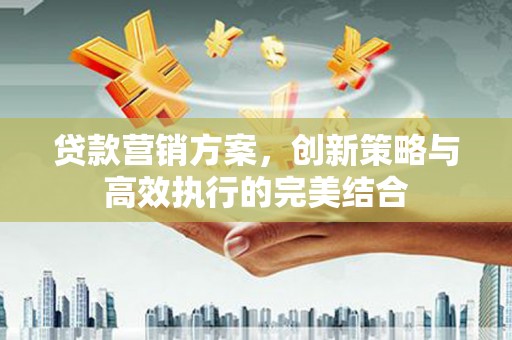 禄丰贷款营销方案，创新策略与高效执行的完美结合