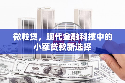 禄丰微粒贷，现代金融科技中的小额贷款新选择
