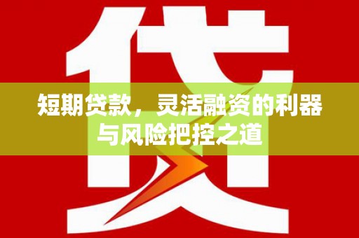 禄丰短期贷款，灵活融资的利器与风险把控之道