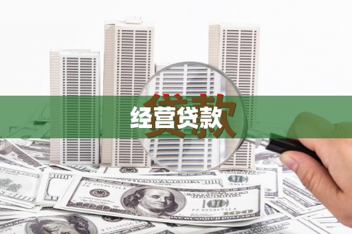 禄丰经营贷款