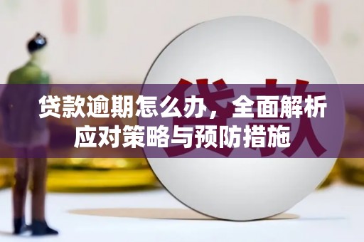 禄丰贷款逾期怎么办，全面解析应对策略与预防措施