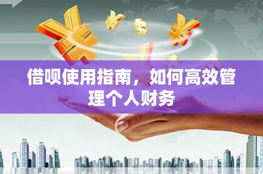 禄丰借呗使用指南，如何高效管理个人财务