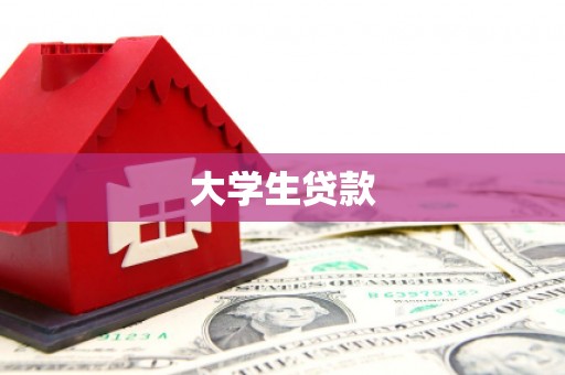 禄丰大学生贷款