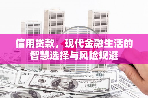 禄丰信用贷款，现代金融生活的智慧选择与风险规避
