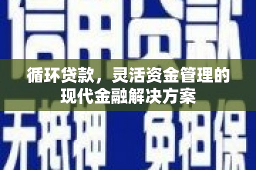 禄丰循环贷款，灵活资金管理的现代金融解决方案