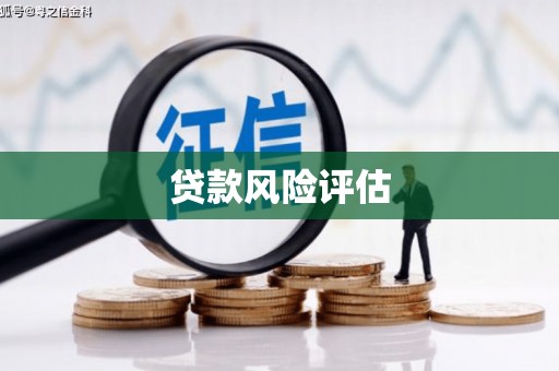 禄丰贷款风险评估
