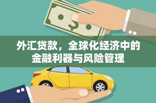 禄丰外汇贷款，全球化经济中的金融利器与风险管理