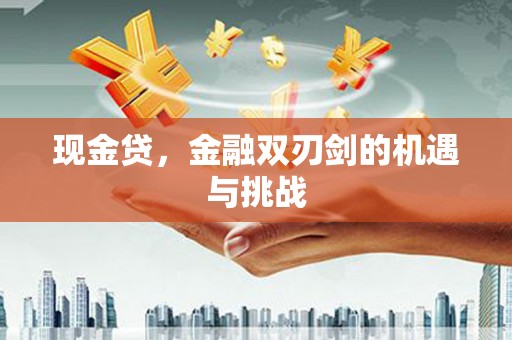 禄丰现金贷，金融双刃剑的机遇与挑战