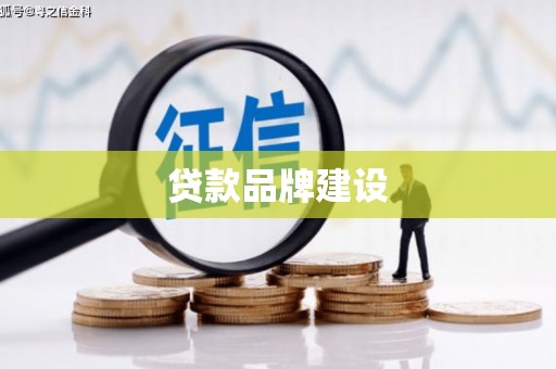 禄丰贷款品牌建设