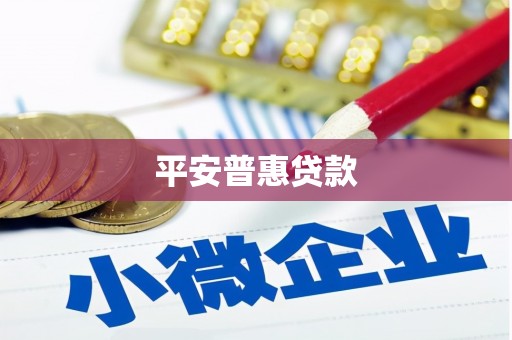 禄丰平安普惠贷款