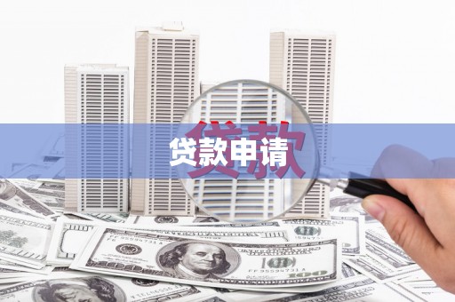 禄丰贷款申请