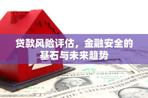 禄丰贷款风险评估，金融安全的基石与未来趋势