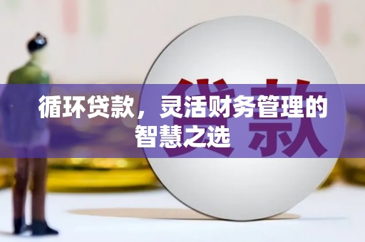 禄丰循环贷款，灵活财务管理的智慧之选
