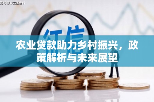 禄丰农业贷款助力乡村振兴，政策解析与未来展望