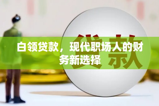 禄丰白领贷款，现代职场人的财务新选择