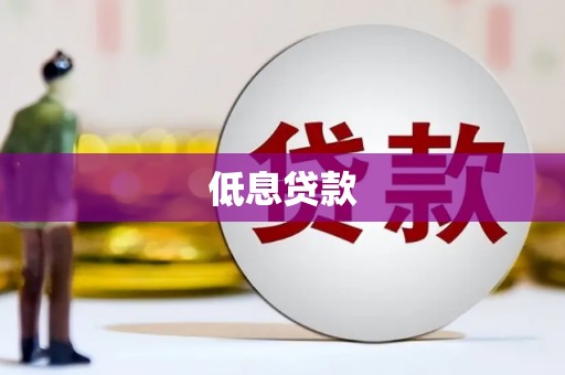 禄丰低息贷款