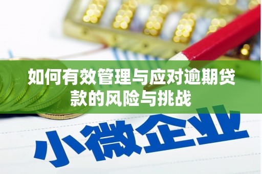 禄丰如何有效管理与应对逾期贷款的风险与挑战