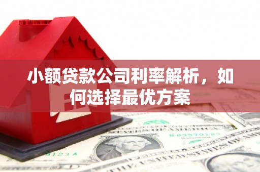 禄丰小额贷款公司利率解析，如何选择最优方案
