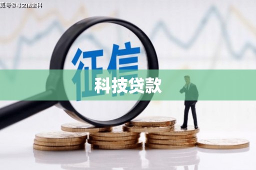 禄丰科技贷款