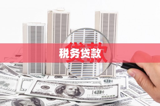 禄丰税务贷款