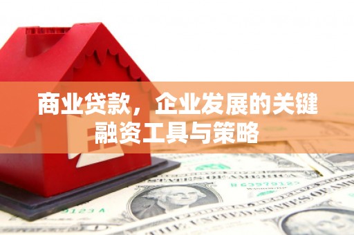 禄丰商业贷款，企业发展的关键融资工具与策略