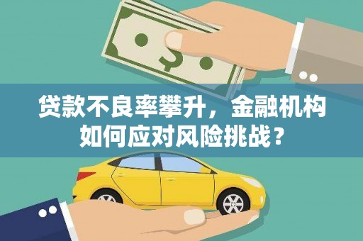 禄丰贷款不良率攀升，金融机构如何应对风险挑战？