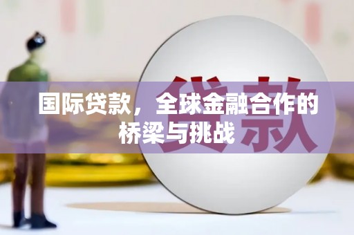 禄丰国际贷款，全球金融合作的桥梁与挑战