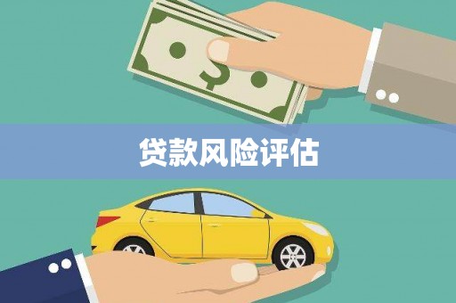禄丰贷款风险评估