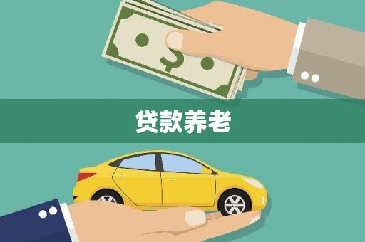 禄丰贷款养老