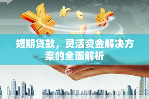 禄丰短期贷款，灵活资金解决方案的全面解析
