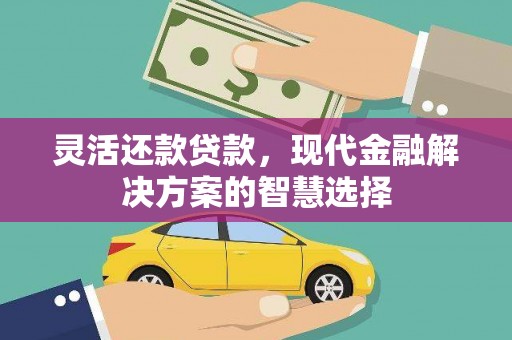 禄丰灵活还款贷款，现代金融解决方案的智慧选择