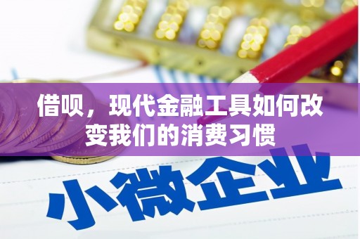 禄丰借呗，现代金融工具如何改变我们的消费习惯