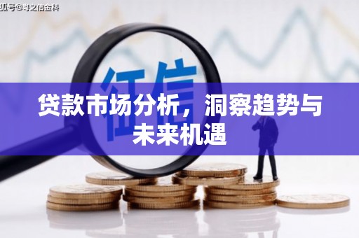 禄丰贷款市场分析，洞察趋势与未来机遇