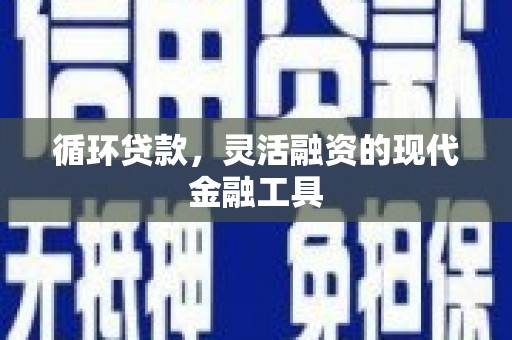 禄丰循环贷款，灵活融资的现代金融工具