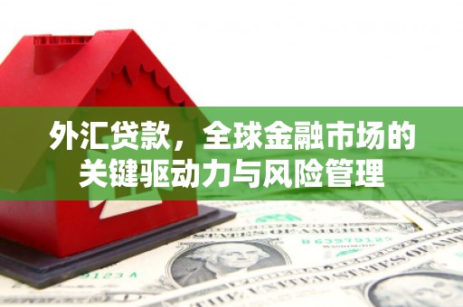 禄丰外汇贷款，全球金融市场的关键驱动力与风险管理
