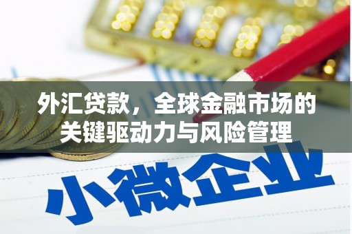 禄丰外汇贷款，全球金融市场的关键驱动力与风险管理
