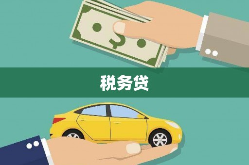 禄丰税务贷