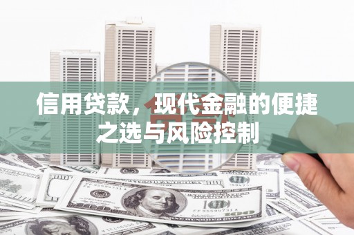 禄丰信用贷款，现代金融的便捷之选与风险控制