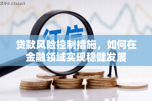 禄丰贷款风险控制措施，如何在金融领域实现稳健发展