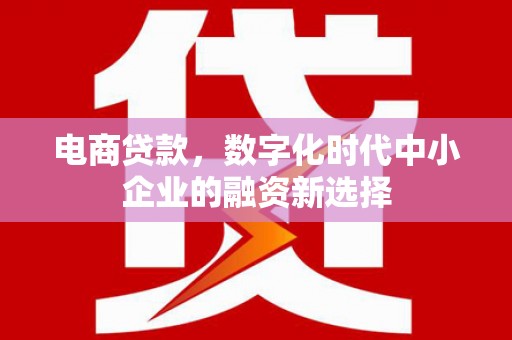 禄丰电商贷款，数字化时代中小企业的融资新选择