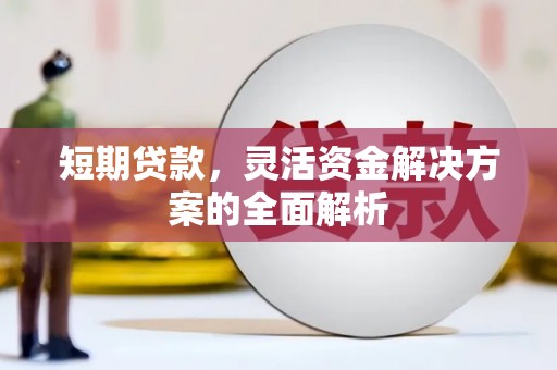 禄丰短期贷款，灵活资金解决方案的全面解析