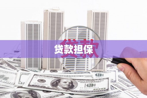 禄丰贷款担保
