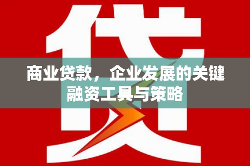 禄丰商业贷款，企业发展的关键融资工具与策略