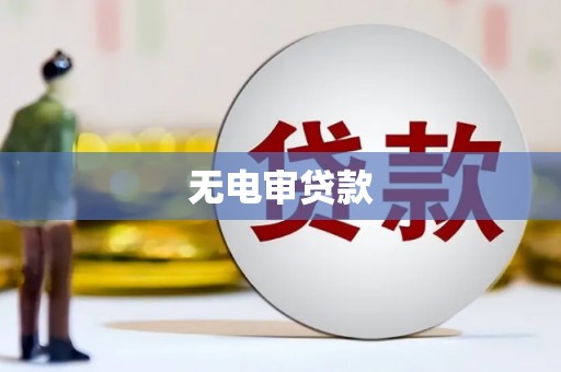 禄丰无电审贷款