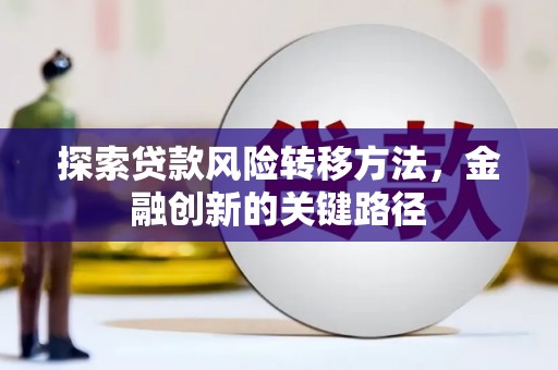 禄丰探索贷款风险转移方法，金融创新的关键路径