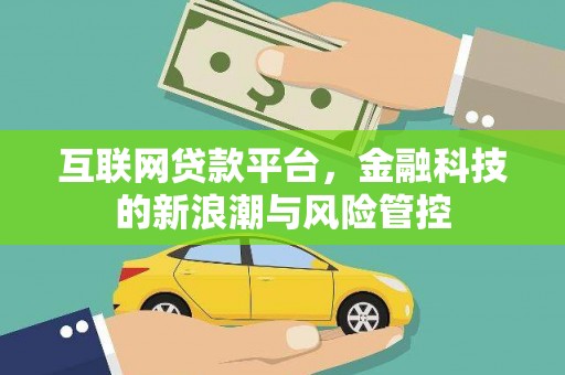 禄丰互联网贷款平台，金融科技的新浪潮与风险管控